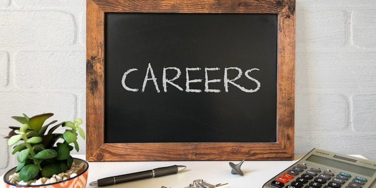 Career ambassador stocks tips