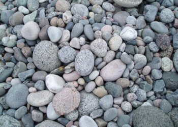 A Stepping-Stone Into Something Great