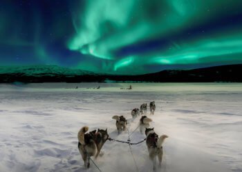 Northern Island The Perfect Destination