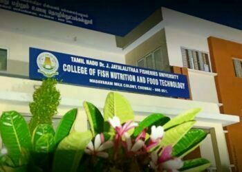 Learn how to make money from College Fish