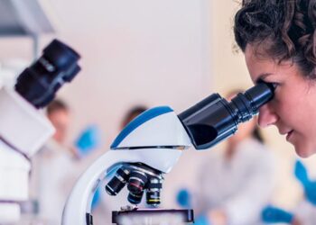 Check Out These Great Career Options for Biology Majors!