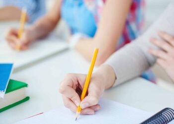 Educational Organisation Plan Template for Teachers