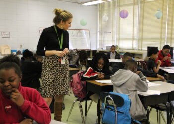 How to Build an Educational Organisation for Teachers