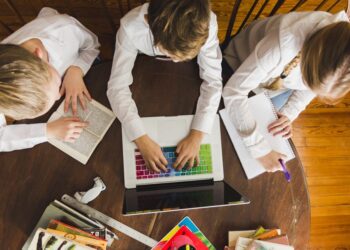 What Are the Differences Between Online Schools?