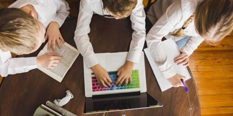 What Are the Differences Between Online Schools?